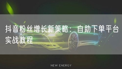 抖音粉丝增长新策略：自助下单平台实战教程