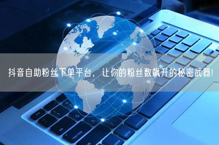 抖音自助粉丝下单平台，让你的粉丝数飙升的秘密武器!