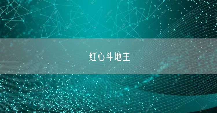 红心斗地主